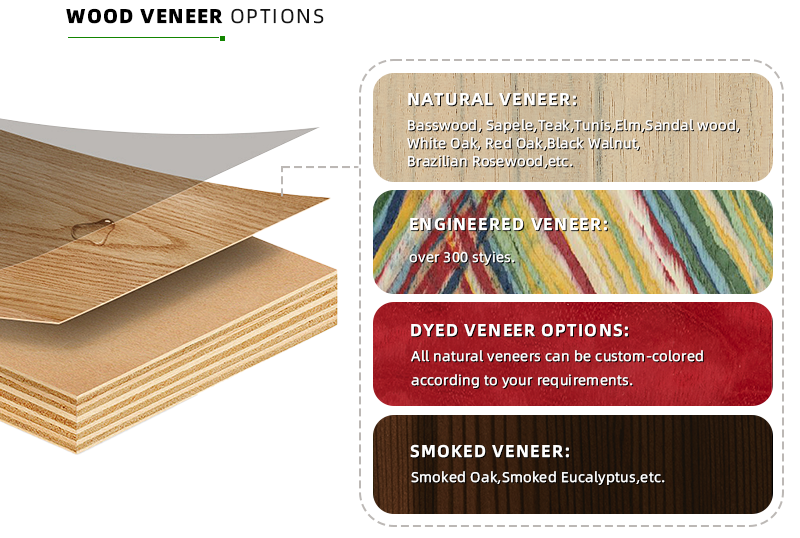 Wood veneer options for decorative panels
